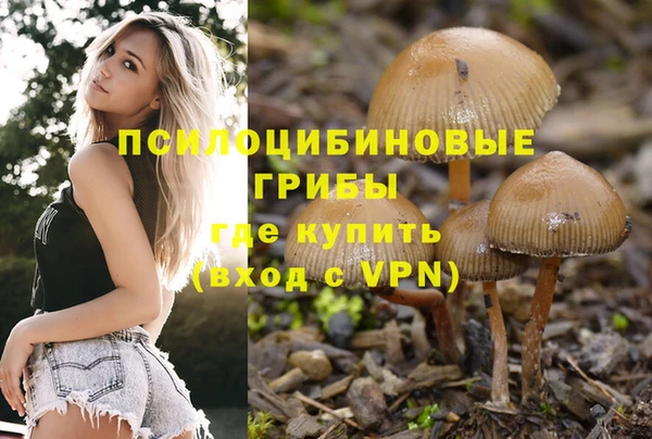 дурь Каменногорск