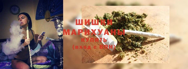 мдпв Инта