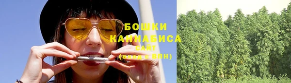 дурь Каменногорск