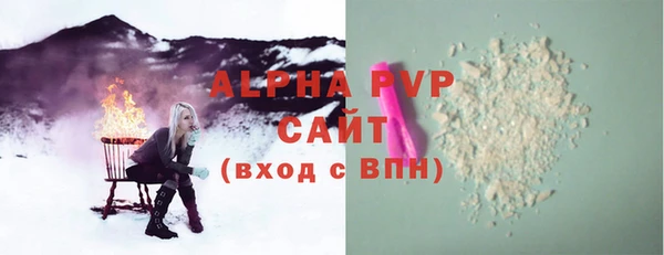 тгк Каменка