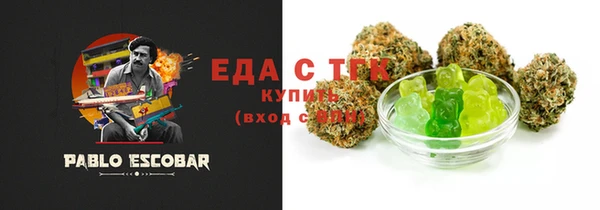 мдпв Инта