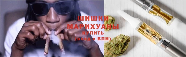 тгк Каменка
