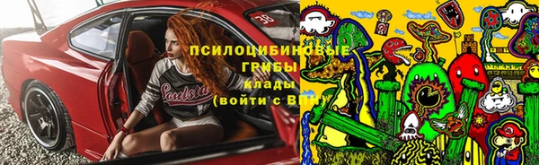 первитин Инсар