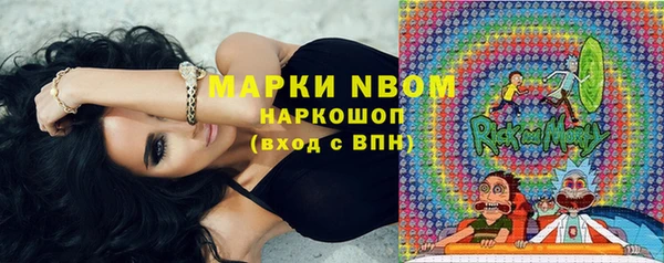 мдпв Инта