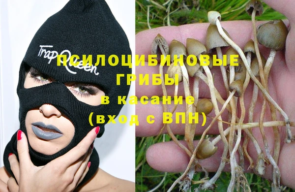тгк Каменка