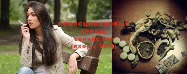 первитин Инсар